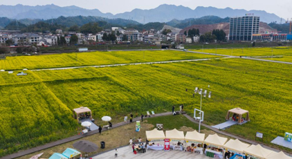 “以花为媒” 打造春日消费新场景