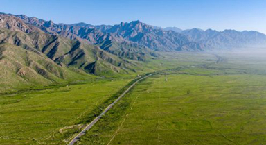 美丽中国丨绿染贺兰山