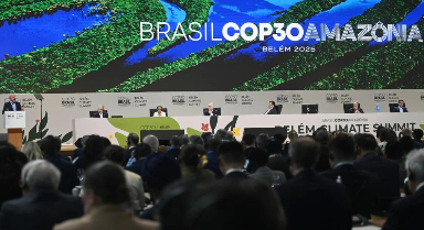 多国领导人呼吁加速应对气候危机行动