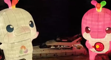 被这两只全运会萌宝可爱到了