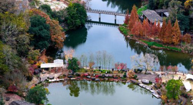 福州九峰村冬景迷人