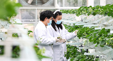 上海：实训基地学“智慧农业”