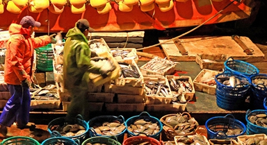 浙江玉环：渔获丰收