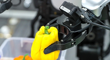 山东青岛：人形机器人“实训”忙