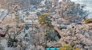 河北承德：避暑山庄现雾凇景观