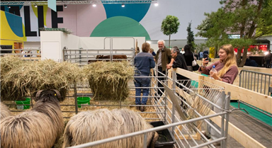 柏林国际绿色周迎来创办100周年