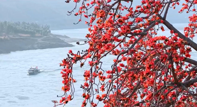 攀枝花长啥样?到攀枝花去看看