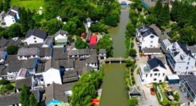 浙江年轻人乡野“筑梦”