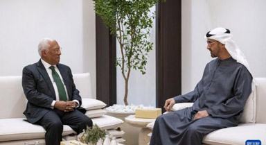 阿联酋总统会见欧洲理事会主席