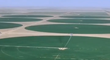 塔克拉玛干沙漠现巨型麦圈