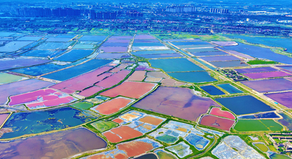 山西运城:夏日盐湖色彩斑斓